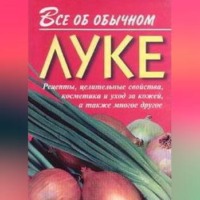 . Все об обычном луке