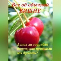 . Все об обычной вишне