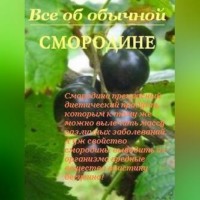 . Все об обычной смородине