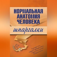 . Нормальная анатомия человека