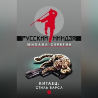 . Стиль барса