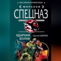 . Ударная волна