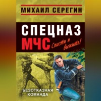 Михаил Серегин. Безотказная команда