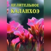 . Целительное каланхоэ