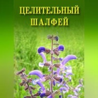 . Целительный шалфей