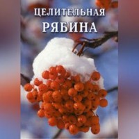 . Целительная рябина
