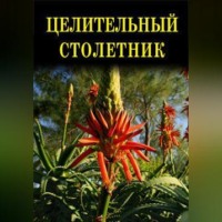 . Целительный столетник