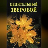 Иван Дубровин. Целительный зверобой