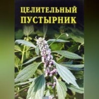 . Целительный пустырник