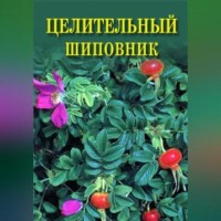 . Целительный шиповник