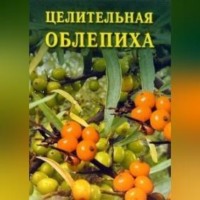 . Целительная облепиха