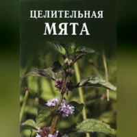 . Целительная мята
