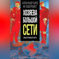 . Хозяева Большой Сети. Новая правящая элита