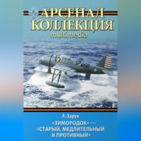 . «Зимородок». «Старый, медлительный и противный»