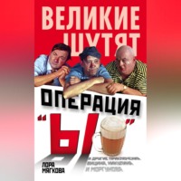 Лора Мягкова. Операция «Ы» и другие приключения Вицина, Никулина и Моргунова