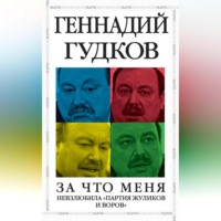 . За что меня невзлюбила «партия жуликов и воров»