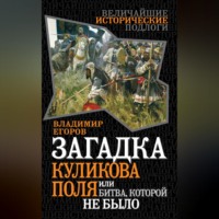 Владимир Борисович Егоров. Загадка Куликова поля, или Битва, которой не было