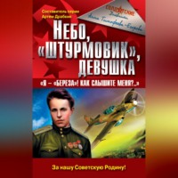 . Небо, «штурмовик», девушка. «Я – „Береза!“ Как слышите меня?..