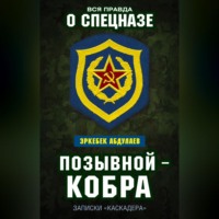 . Позывной – Кобра. Записки «каскадера»