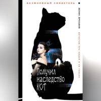 . Получил наследство кот
