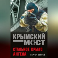 . Стальное крыло ангела