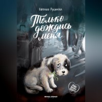. Только дождись меня