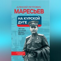 . На Курской дуге