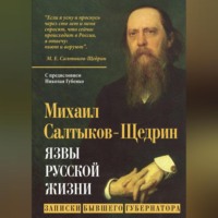Михаил Салтыков-Щедрин. Язвы русской жизни. Записки бывшего губернатора
