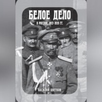 В. Ж. Цветков. Белое дело в России: 1917-1919 гг.