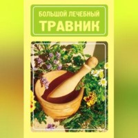 Иван Дубровин. Большой лечебный травник