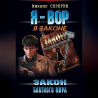 Михаил Серегин. Закон блатного мира