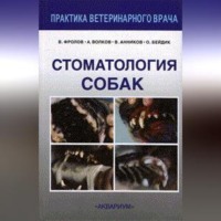 . Стоматология собак