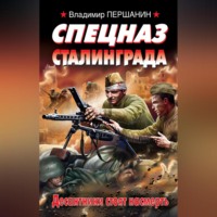 . Спецназ Сталинграда
