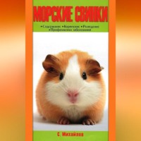 . Морские свинки