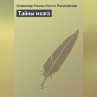 Александр Морок. Тайны мозга