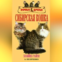 Андрей Беляченко. Сибирская кошка