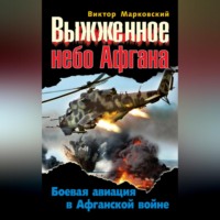 . Выжженное небо Афгана. Боевая авиация в Афганской войне