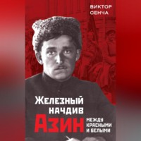 . Железный начдив Азин. Между красными и белыми