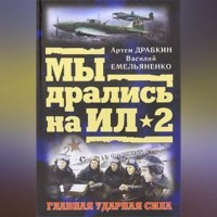 . Ил-2 атакует. Огненное небо 1942-го