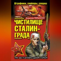 . Чистилище Сталинграда. Штрафники, снайперы, спецназ (сборник)