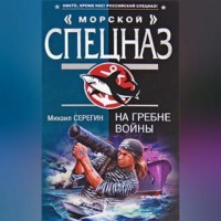 . На гребне войны
