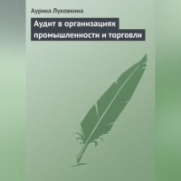 . Аудит в организациях промышленности и торговли