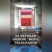 . За черным окном – море тюльпанов