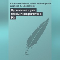 Владимир Фофанов. Организация и учет безналичных расчетов в РФ