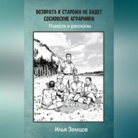 Илья Александрович Земцов. Возврата к старому не будет