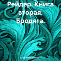 Владимир Поселягин. Рейдер. Книга вторая. Бродяга.