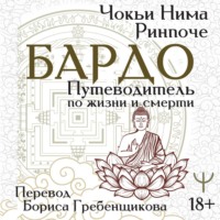 . Бардо. Путеводитель по жизни и смерти