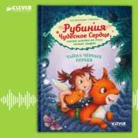 Карен Кристин Ангермейер. Рубиния Чудесное Сердце, смелая девочка из рода лесных эльфов. Тайна черных перьев