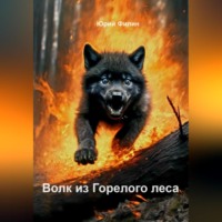 Юрий Филин. Волк из Горелого леса
