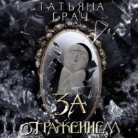 . Двоемирье. Книга 5. За отражением